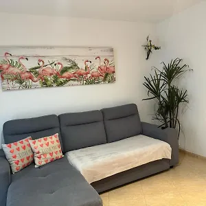 Parrot's House , Lloret de Mar Spain